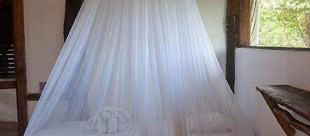 Yoga Shala - Adults Only