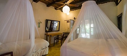 Yoga Shala - Adults Only