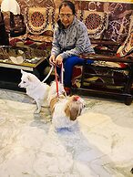 Hotel Meenakshi Udaipur