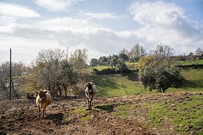 Agriturismo San Basilio
