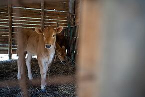 Agriturismo San Basilio