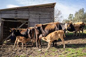 Agriturismo San Basilio