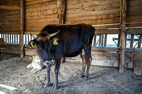 Agriturismo San Basilio