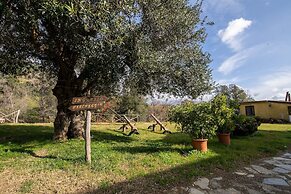 Agriturismo San Basilio