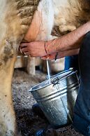 Agriturismo San Basilio