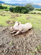 Agriturismo Lu Branu