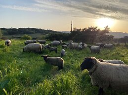 Agriturismo Lu Branu