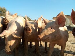 Agriturismo Lu Branu