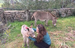 Agriturismo Lu Branu