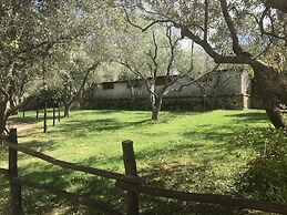 Agriturismo Lu Branu