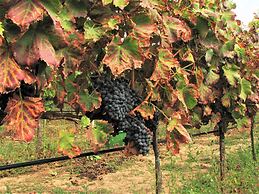 Agriturismo Lu Branu