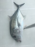 Yacht Fascination Maldives