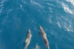 Yacht Fascination Maldives