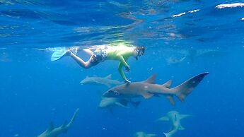 Yacht Fascination Maldives