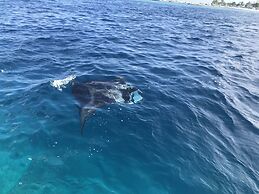 Yacht Fascination Maldives