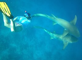 Yacht Fascination Maldives