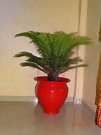 Appartement Marina Beach