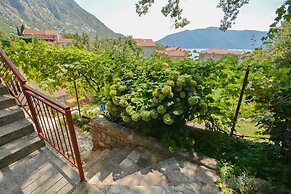 Apartments Risan Center