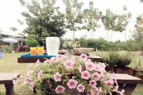 Thorfun Guesthouse in the Garden