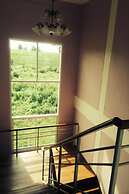 Thorfun Guesthouse in the Garden