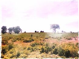 Thorfun Guesthouse in the Garden