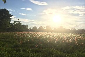 Thorfun Guesthouse in the Garden