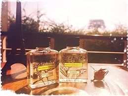 Thorfun Guesthouse in the Garden