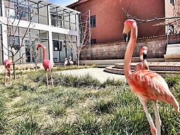 Baisha Flamingo Hotel
