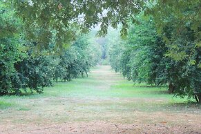 Home @ Hostel Kanchanaburi
