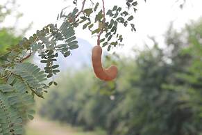 Home @ Hostel Kanchanaburi