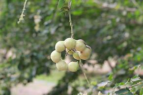 Home @ Hostel Kanchanaburi