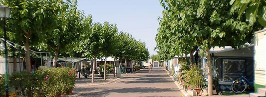 Camping y Bungalows Monmar