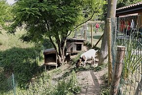 Agriturismo Terra e Lago d'Iseo