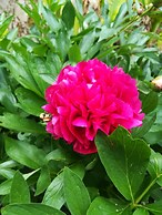 Moulin Pont Vieux - Chambres d'Hôtes