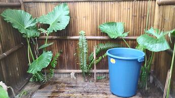 Harmony Healing Resort