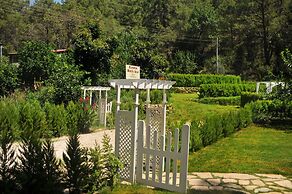 Zumrut Cirali Butik Otel