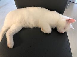 Le Domaine des Prés