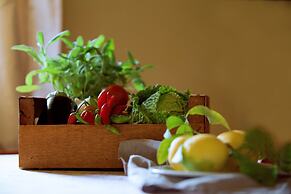 Allegro Agriturismo Argiano