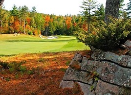 The Cottages of Lynchburg