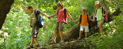 The Cottages of Lynchburg