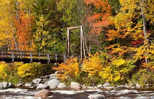 The Cottages of Lynchburg