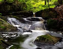 The Cottages of Lynchburg