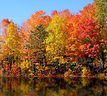 The Cottages of Lynchburg