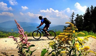 The Cottages of Lynchburg