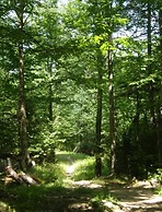 The Cottages of Lynchburg