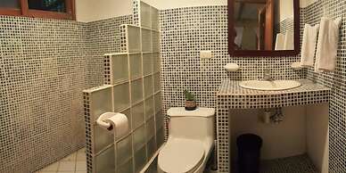 Piña Flat Santa Teresa