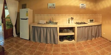 Piña Flat Santa Teresa