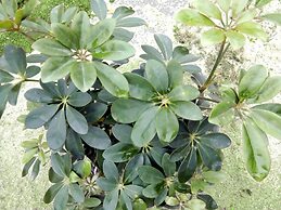 Ninh Bình Friendly Homestay