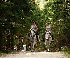 ProFamily TOP Benecko