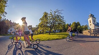 ProFamily TOP Benecko